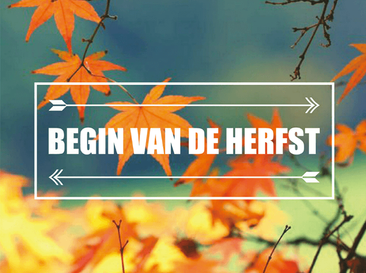 Dienst zonder God